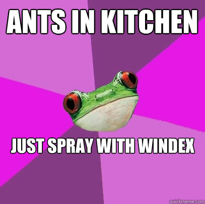 Ants in kitchen just spray with windex  Foul Bachelorette Frog