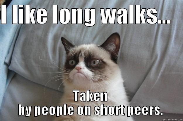 I LIKE LONG WALKS...    TAKEN BY PEOPLE ON SHORT PEERS. Grumpy Cat