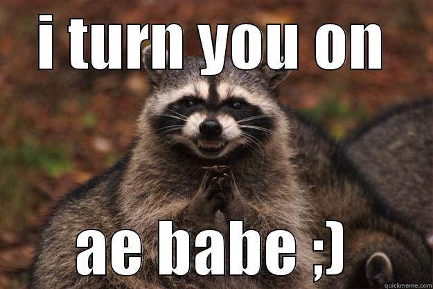 I TURN YOU ON AE BABE ;) Evil Plotting Raccoon