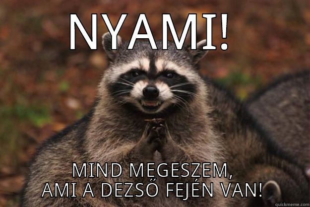 NYAMI! MIND MEGESZEM, AMI A DEZSŐ FEJÉN VAN! Evil Plotting Raccoon