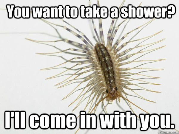 You want to take a shower? I'll come in with you.  House Centipede