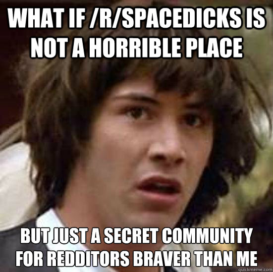 What if /r/spacedicks is not a horrible place but just a secret community for redditors braver than me  conspiracy keanu