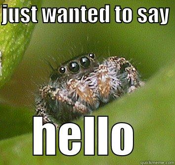 JUST WANTED TO SAY  HELLO Misunderstood Spider