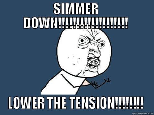 SIMMER DOWN!!!!!!!!!!!!!!!!!!! LOWER THE TENSION!!!!!!!! Y U No