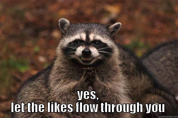  YES, LET THE LIKES FLOW THROUGH YOU Evil Plotting Raccoon