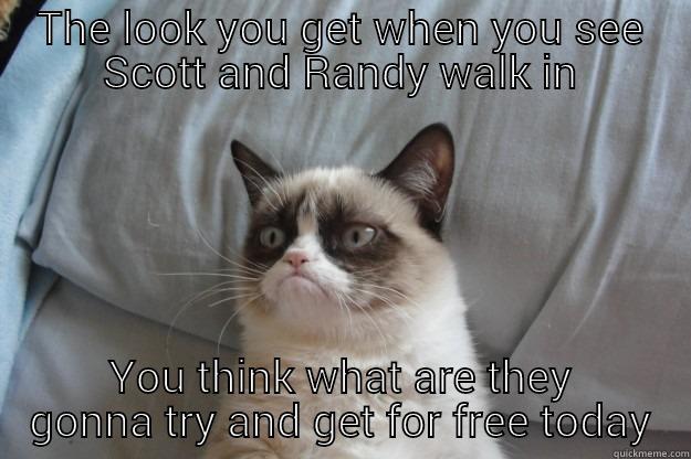 THE LOOK YOU GET WHEN YOU SEE SCOTT AND RANDY WALK IN YOU THINK WHAT ARE THEY GONNA TRY AND GET FOR FREE TODAY Grumpy Cat