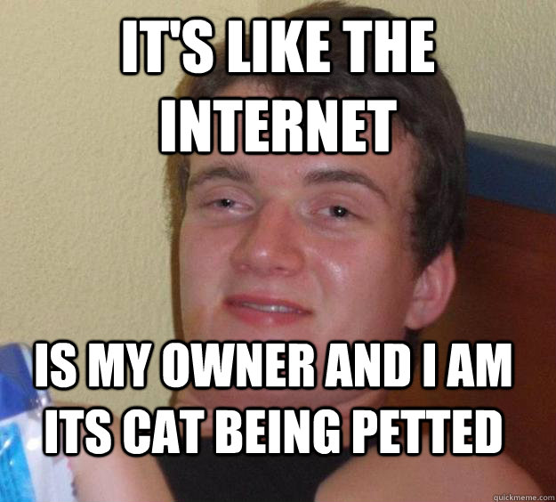 It's like the internet is my owner and I am its cat being petted  10 Guy