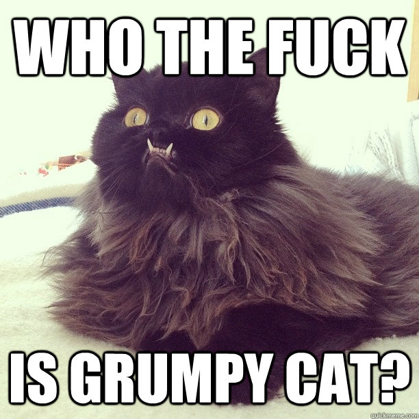 Who the fuck is Grumpy Cat?  