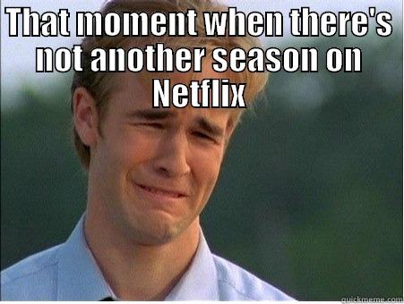 THAT MOMENT WHEN THERE'S NOT ANOTHER SEASON ON NETFLIX  1990s Problems