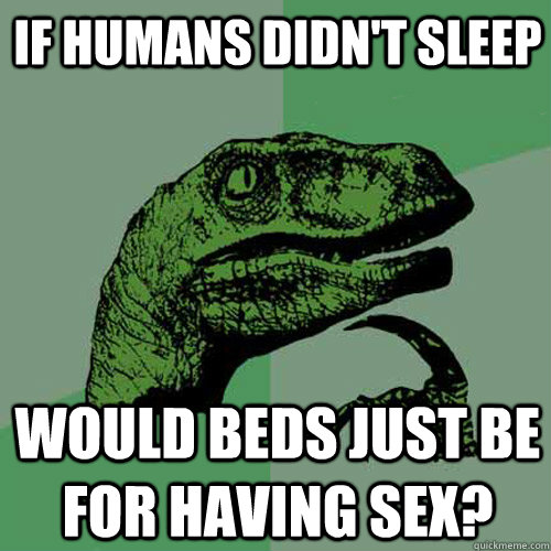 If humans didn't sleep Would beds just be for having sex? - If humans didn't sleep Would beds just be for having sex?  Philosoraptor