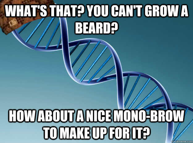 what's that? you can't grow a beard? How about a nice mono-brow to make up for it? - what's that? you can't grow a beard? How about a nice mono-brow to make up for it?  Scumbag Genetics