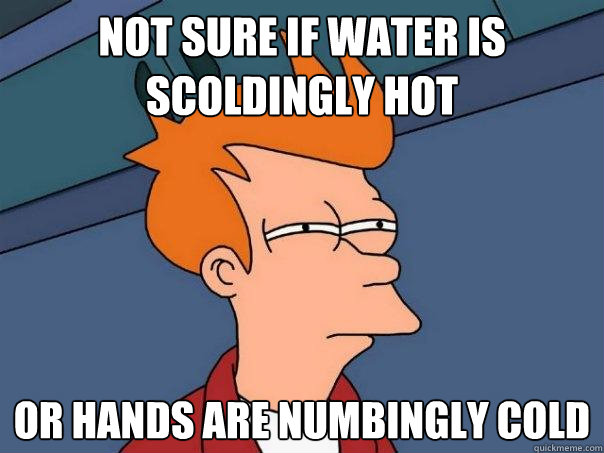 Not sure if water is scoldingly hot Or hands are numbingly cold - Not sure if water is scoldingly hot Or hands are numbingly cold  Futurama Fry