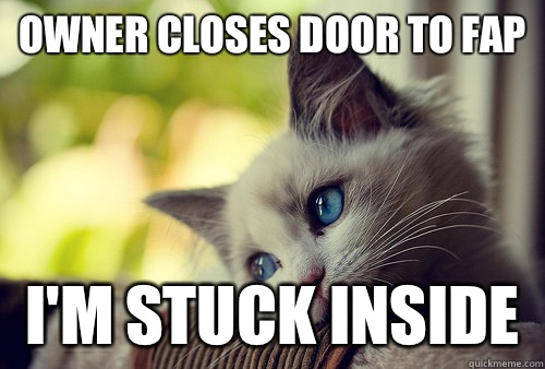 Owner closes door to fap I'm stuck inside  First World Problems Cat