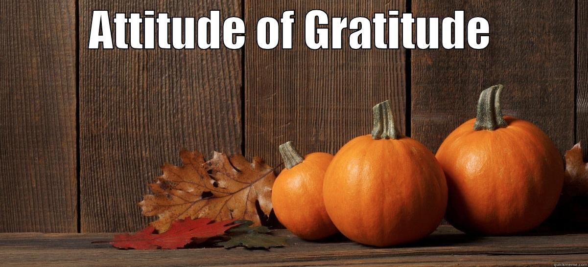 ATTITUDE OF GRATITUDE  Misc