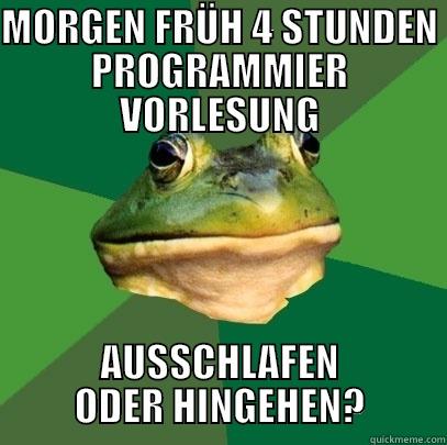 MORGEN FRÜH 4 STUNDEN PROGRAMMIER VORLESUNG AUSSCHLAFEN ODER HINGEHEN? Foul Bachelor Frog