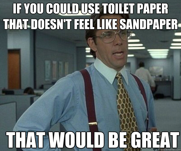 If you could use toilet paper that doesn't feel like sandpaper THAT WOULD BE GREAT  that would be great