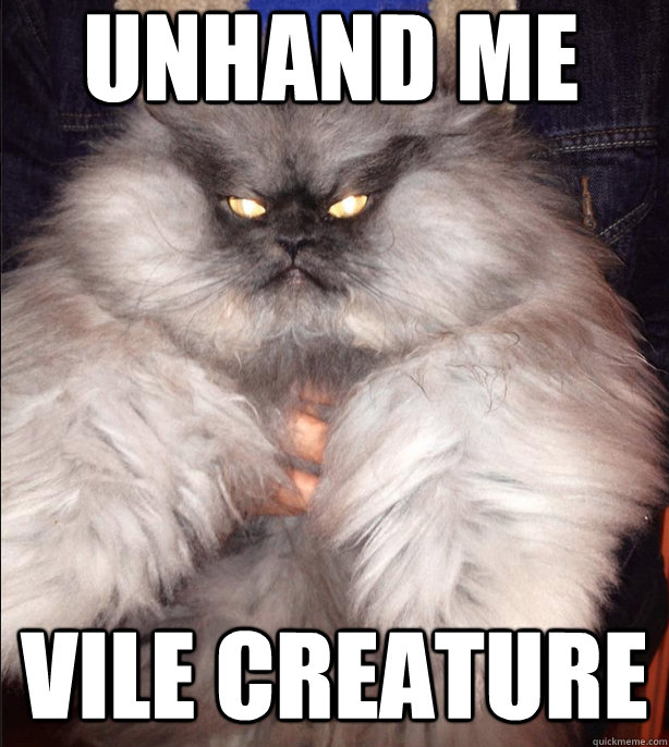 Unhand me  Vile Creature  Evil Cat