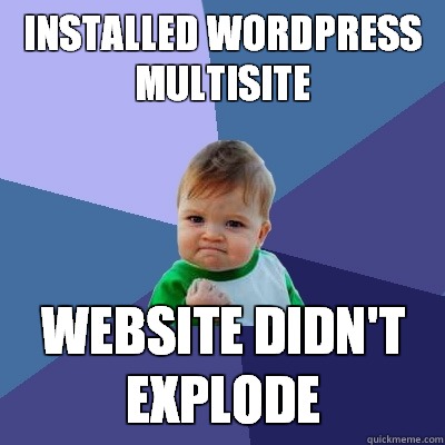 Installed WordPress Multisite Website didn't explode  Success Kid