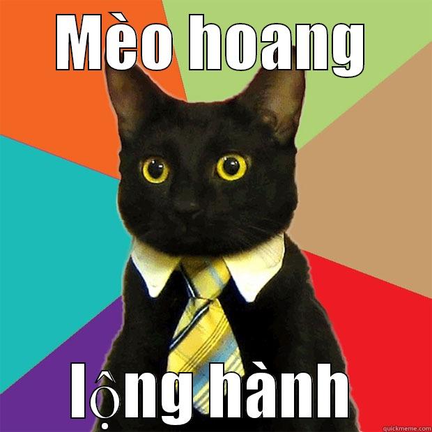 MÈO HOANG LỘNG HÀNH Business Cat