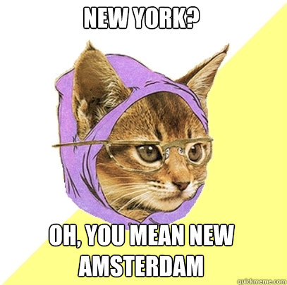 New York? Oh, you mean New Amsterdam  Hipster Kitty