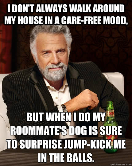 I don't always walk around my house in a care-free mood, But when I do my roommate's dog is sure to surprise jump-kick me in the balls. - I don't always walk around my house in a care-free mood, But when I do my roommate's dog is sure to surprise jump-kick me in the balls.  The Most Interesting Man In The World