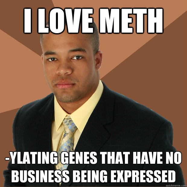 I LOVE METH -ylating genes that have no business being expressed  Successful Black Man