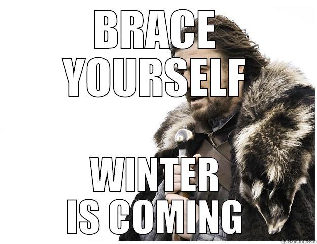 BRACE YOURSELF WINTER IS COMING Imminent Ned