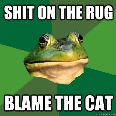 shit on the rug blame the cat - shit on the rug blame the cat  Foul Bachelor Frog