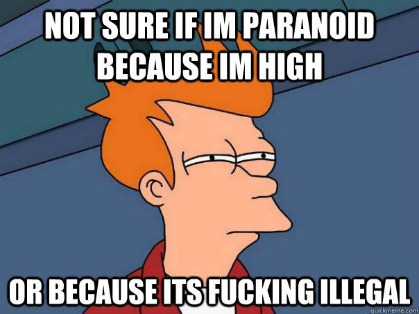 Not sure if im paranoid because im high or because its fucking illegal   Futurama Fry