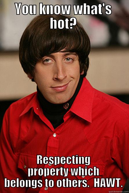 YOU KNOW WHAT'S HOT? RESPECTING PROPERTY WHICH BELONGS TO OTHERS.  HAWT. Pickup Line Scientist