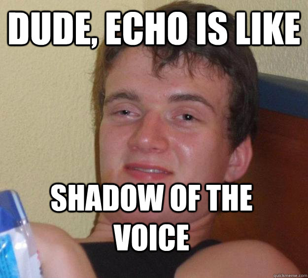 dude, echo is like shadow of the voice  10 Guy