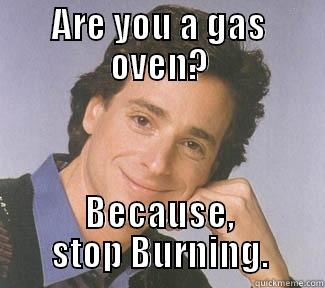 ARE YOU A GAS OVEN? BECAUSE, STOP BURNING. Misc