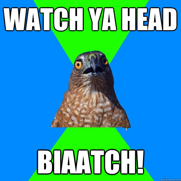 watch ya head biaatch!  Hawkward