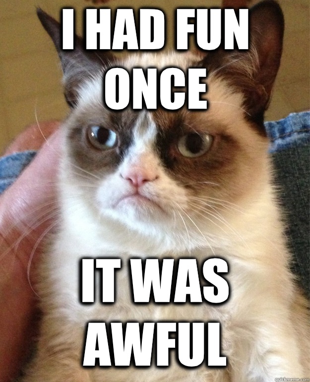 I had fun once It was awful  Grumpy Cat