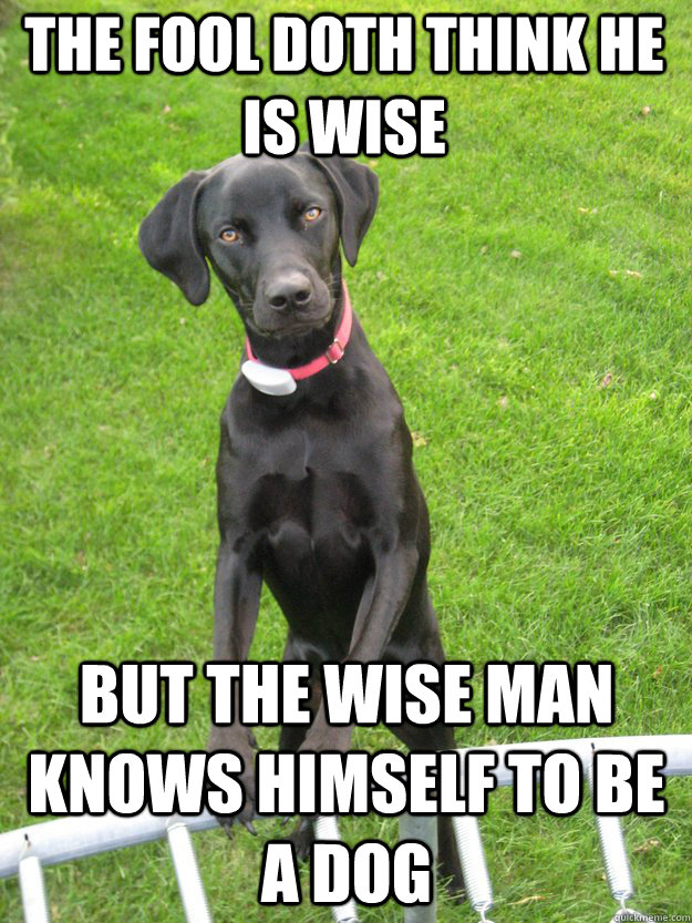 The Fool Doth think he is wise But the wise man knows himself to be a dog - The Fool Doth think he is wise But the wise man knows himself to be a dog  Homer the Wisdom Dog