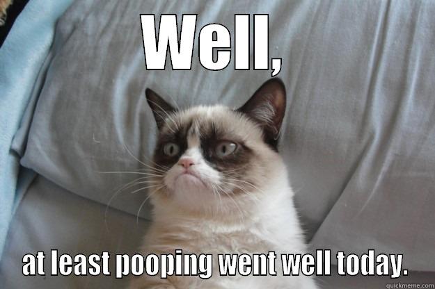 WELL, AT LEAST POOPING WENT WELL TODAY. Grumpy Cat