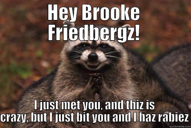 HEY BROOKE FRIEDBERGZ! I JUST MET YOU, AND THIZ IS CRAZY, BUT I JUST BIT YOU AND I HAZ RABIEZ Evil Plotting Raccoon