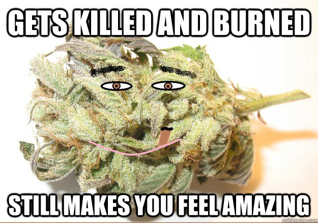 Gets killed and burned Still makes you feel amazing  Good Guy Ganja