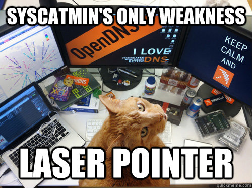 Syscatmin's only weakness laser pointer - Syscatmin's only weakness laser pointer  SysCatmin