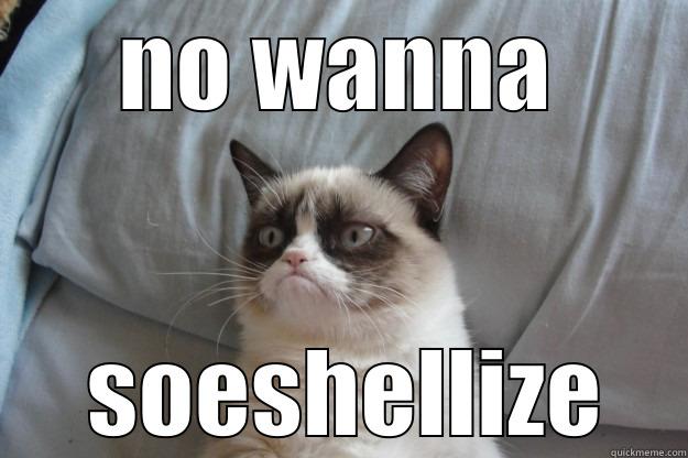 NO WANNA  SOESHELLIZE Grumpy Cat