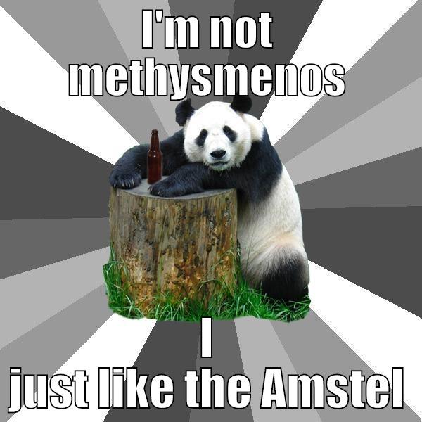 I'M NOT METHYSMENOS I JUST LIKE THE AMSTEL Pickup-Line Panda