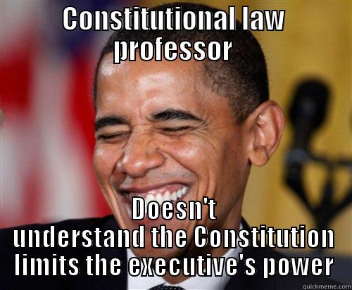 CONSTITUTIONAL LAW PROFESSOR DOESN'T UNDERSTAND THE CONSTITUTION LIMITS THE EXECUTIVE'S POWER Scumbag Obama