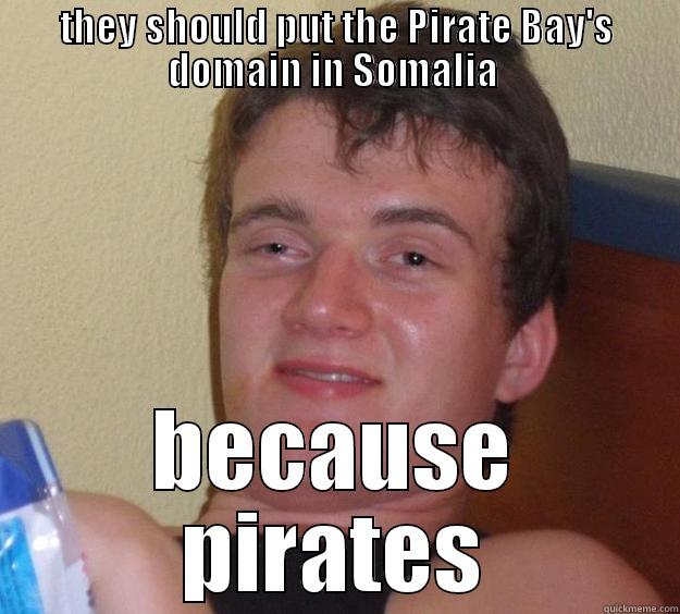 THEY SHOULD PUT THE PIRATE BAY'S DOMAIN IN SOMALIA  BECAUSE PIRATES 10 Guy