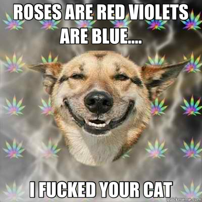 ROSES ARE RED VIOLETS ARE BLUE.... I FUCKED YOUR CAT  Stoner Dog