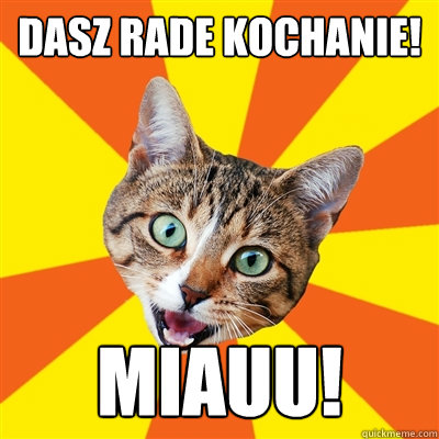 Dasz rade Kochanie! Miauu!  Bad Advice Cat