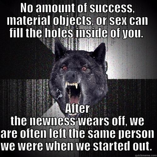 NO AMOUNT OF SUCCESS, MATERIAL OBJECTS, OR SEX CAN FILL THE HOLES INSIDE OF YOU.  AFTER THE NEWNESS WEARS OFF, WE ARE OFTEN LEFT THE SAME PERSON WE WERE WHEN WE STARTED OUT.  Insanity Wolf