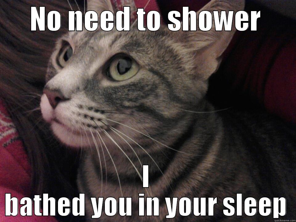 NO NEED TO SHOWER I BATHED YOU IN YOUR SLEEP Misc