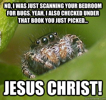 No, I was just scanning your bedroom for bugs. Yeah, I also checked under that book you just picked... Jesus christ!  Misunderstood Spider