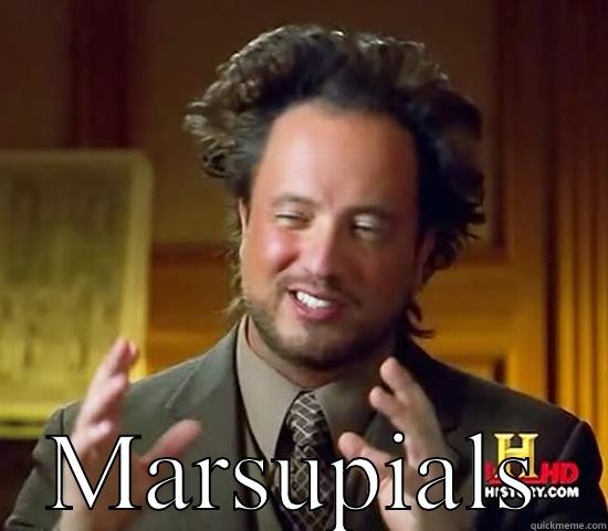 Stoned Wallabies -  MARSUPIALS Ancient Aliens