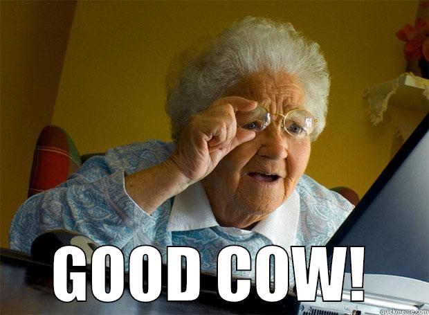 Good Cow -  GOOD COW! Grandma finds the Internet